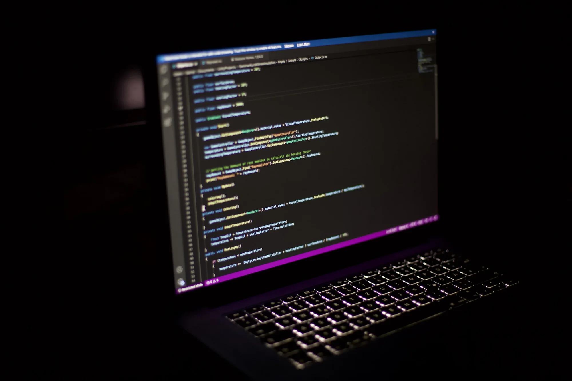 Web Development